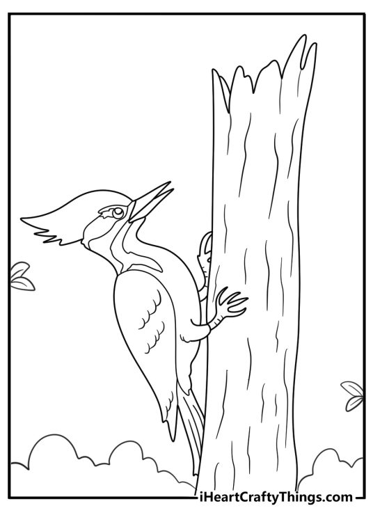 Woodpecker on tall tree trunk kids coloring printable