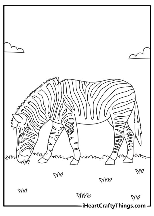 Zebra coloring page showing a grazing animal among short grass