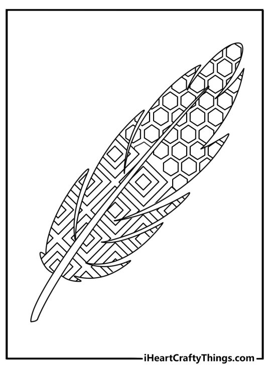 Zentangle coloring sheets with feather plume pattern