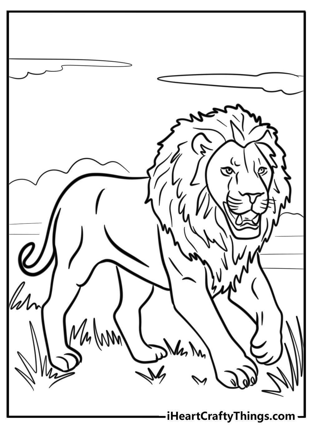 Adult lion coloring pages