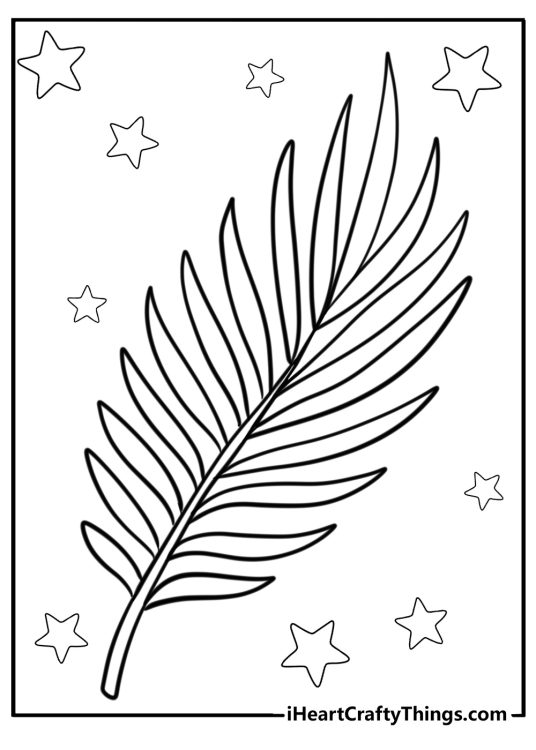 Palm tree-themed coloring book page depicting big palm tree leaf surrounded by stars