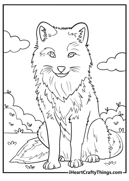Arctic fox coloring page
