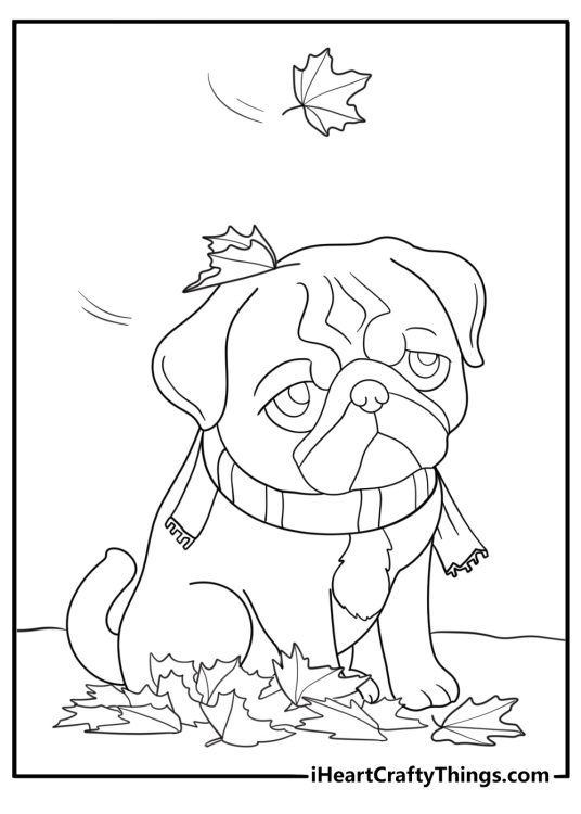 autumn pug coloring page pug among falling leaves with scarf around neck printable