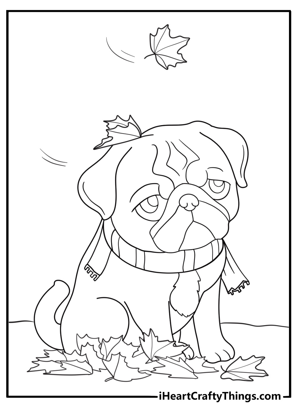 autumn pug coloring page pug among falling leaves with scarf around neck printable