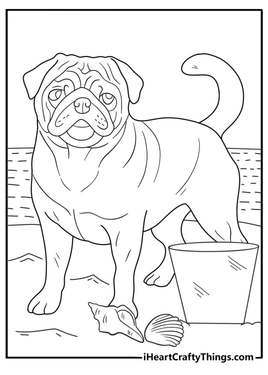 beach pug coloring page pug near sand bucket and seashells kid friendly printable