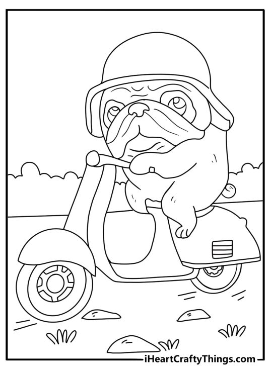 biker pug coloring sheet pug on small scooter with helmet road lines behind pdf
