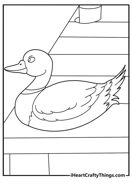 black and white duck coloring page drake resting on a wooden pier simple outline for kids