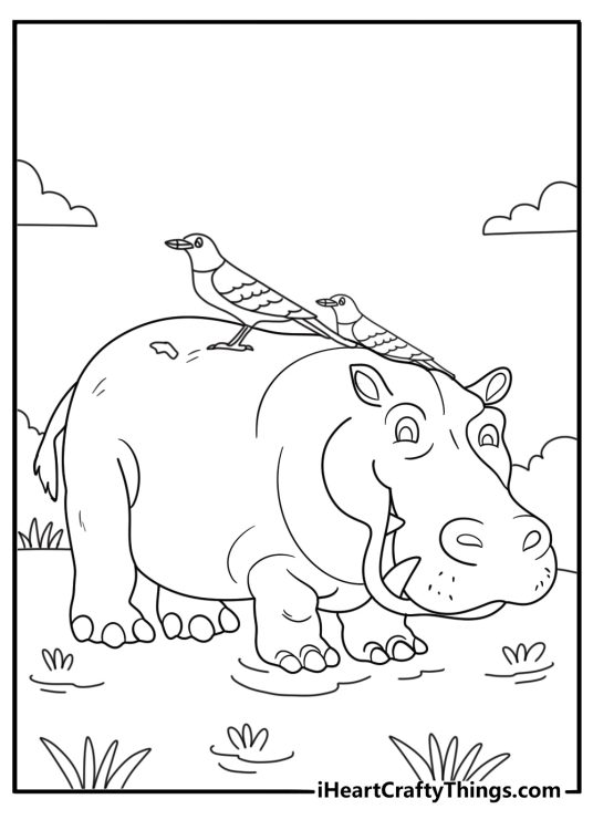 cartoon hippo coloring picture hippo with two oxpecker birds on back near tall grass printable