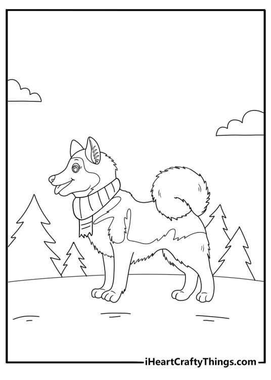 cartoon husky wearing scarf easy coloring page