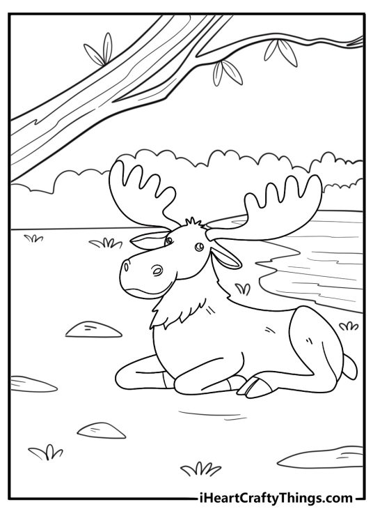 cartoon moose sitting by a river easy coloring sheet for kids