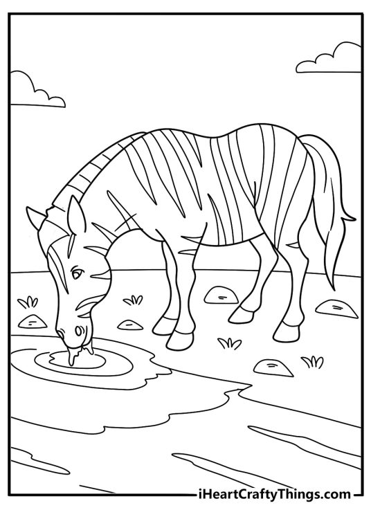 cartoon zebra drinking water from a pond fun coloring sheet