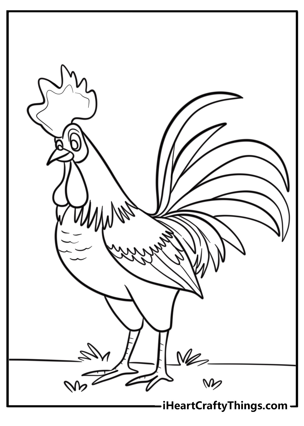 Chicken with feathers and a big comb detailed coloring sheet