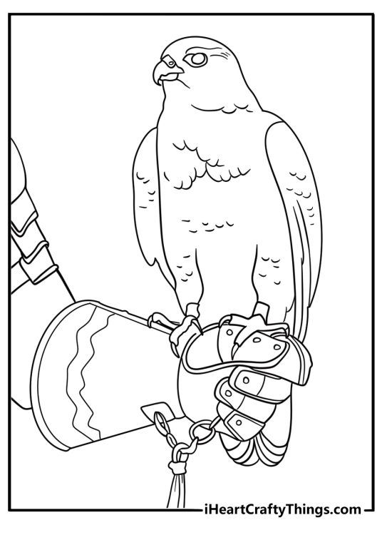 coloring sheet knight with falcon on glove falconry scene