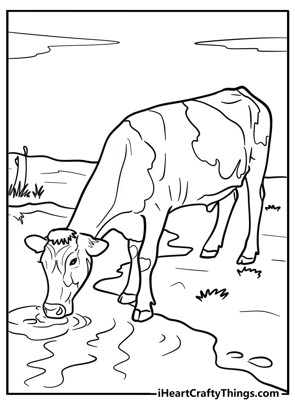 Cow drinking water from a pond detailed coloring sheet