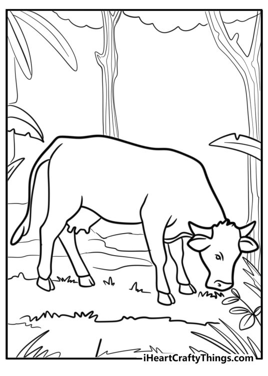 Cow grazing in a field coloring page for kids
