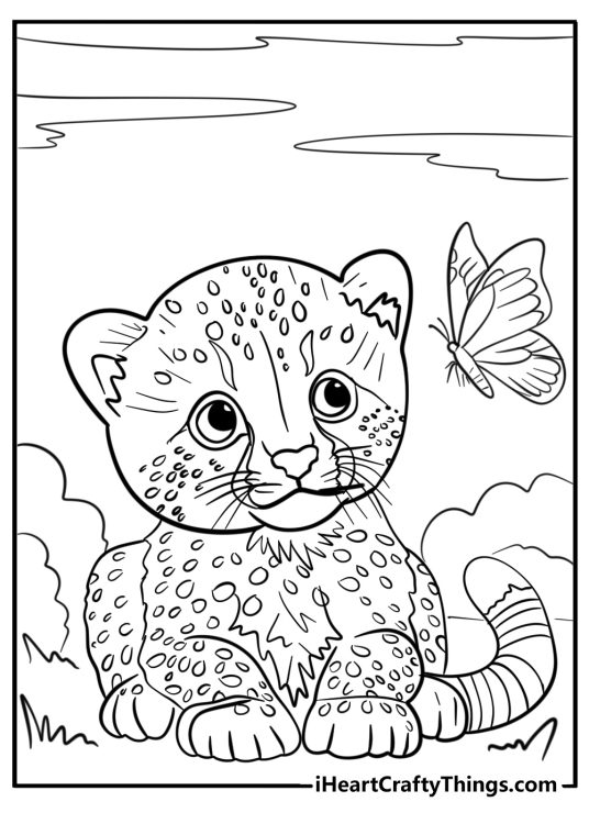 Detailed cute animals printable drawing presenting young cheetah watching a butterfly outdoors