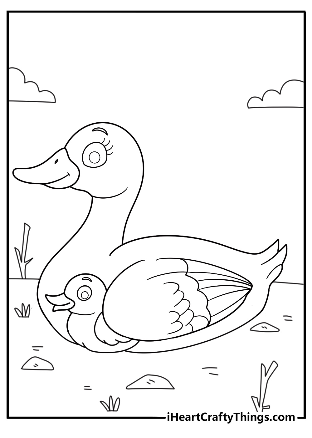 cute duck coloring page baby duckling tucked under mother wing on dry land printable