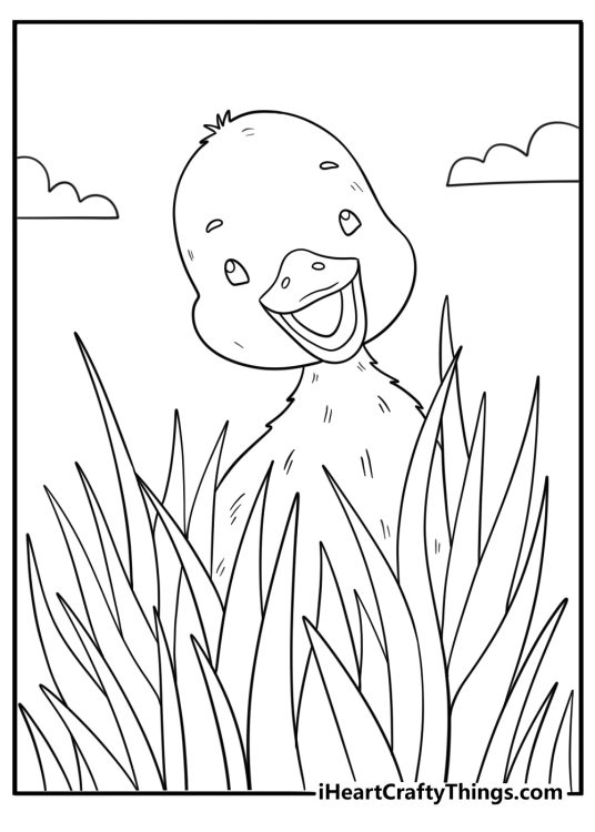 cute duck coloring sheet baby duckling peeking out from tall grass easy printable
