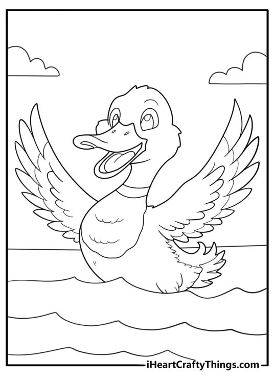 detailed duck coloring page mallard flapping wings on the lake for adults pdf