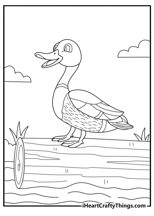 detailed duck coloring printable wood duck standing on a fallen log by a stream for adults pdf
