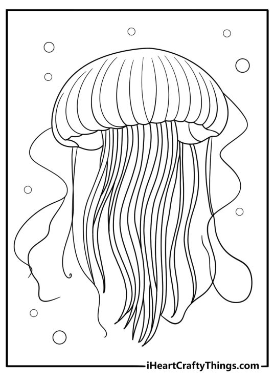detailed jellyfish coloring sheet for adults lions mane tentacles flowing in waves download