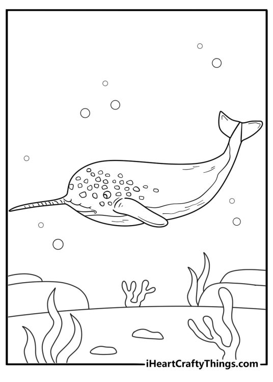 detailed narwhal with patterned horn ocean style coloring page