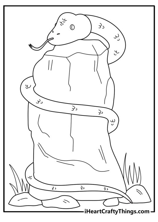 detailed snake wrapped around a large rock coloring sheet