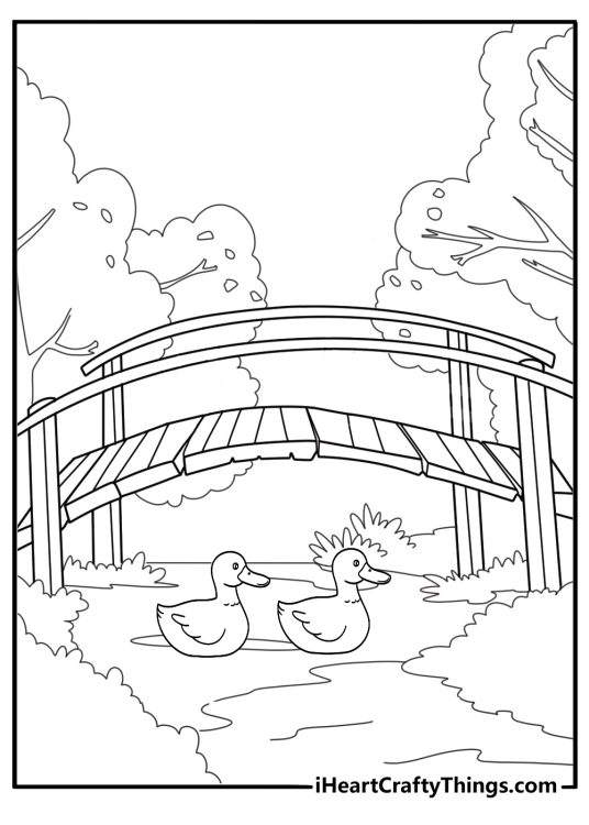 duck coloring pages easy outline duck floating under a small bridge for kids printable