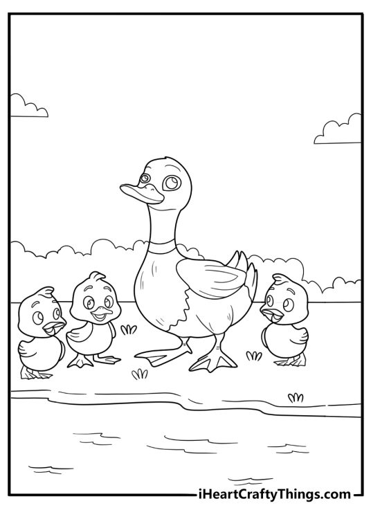 duck coloring poster for children mother duck leading three ducklings along the riverbank printable
