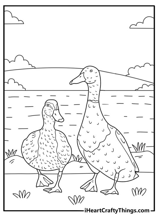 duck coloring printable farm goose and duck near a water trough simple scene for kids pdf