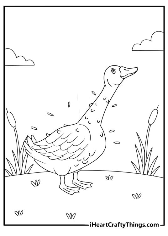 duck coloring sheet for kids duck shaking water off its feathers by the pier simple pdf