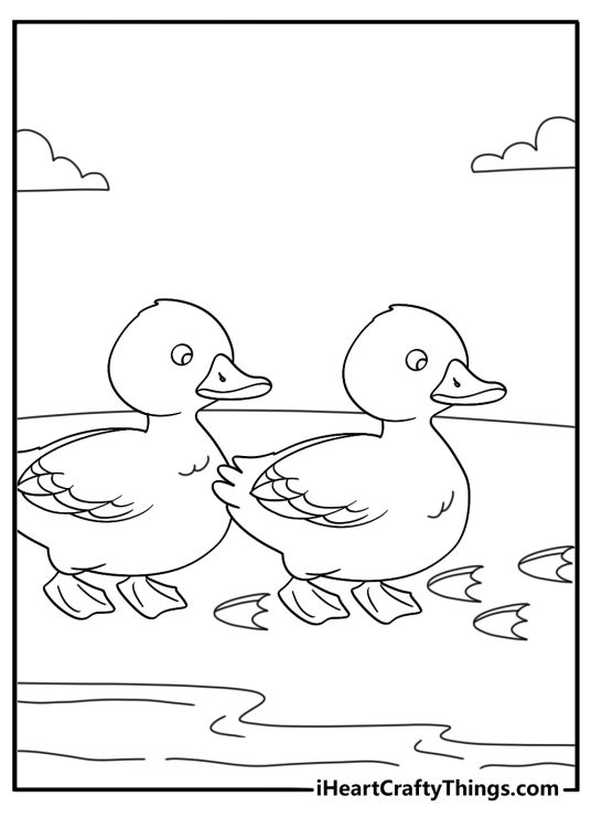 duck coloring sheet for kids duckling following footprints in wet sand by the water easy