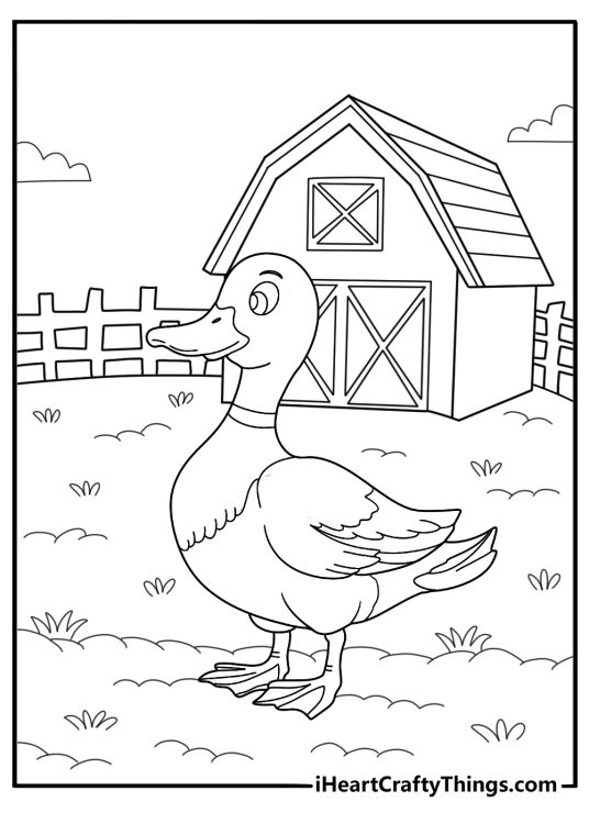 easy duck coloring sheet farm duck walking on a dirt path by a barn printable pdf