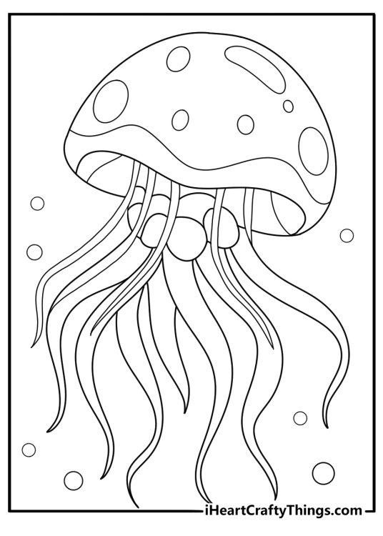 easy jellyfish coloring page for kids single moon jelly drifting in calm water printable pdf