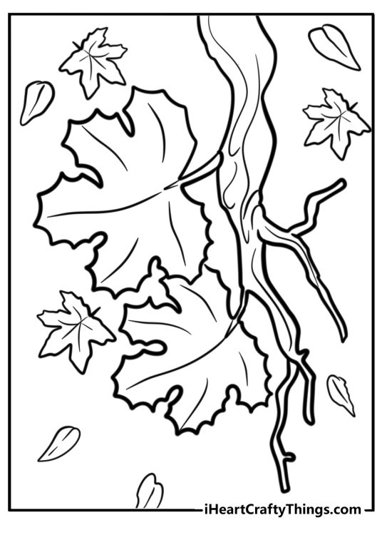 Fall-themed coloring image featuring maple tree branch with some falling leaves in the background