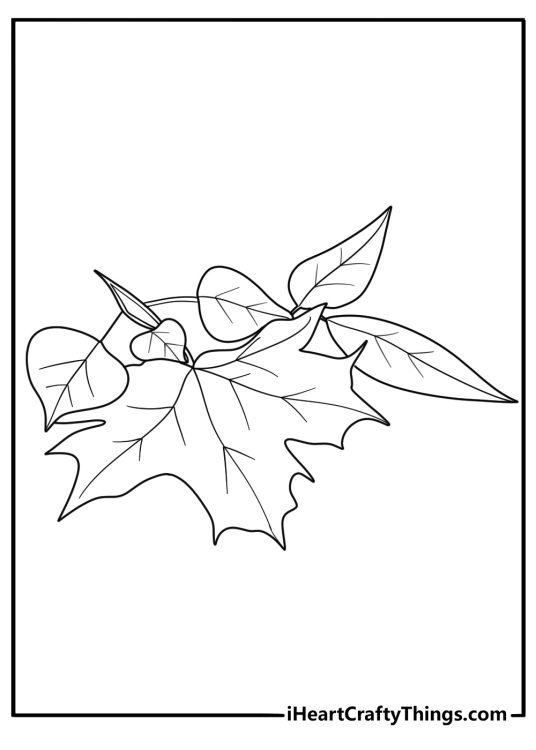 fall leaves detailed coloring sheet with overlapping maple and birch leaves