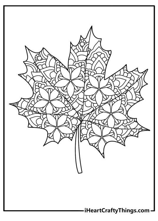 fall leaves mandala style coloring page for adults with intricate leaf patterns