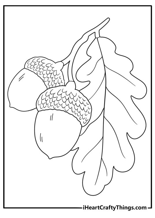 fall leaves printable sheet featuring a single oak leaf with acorns nearby