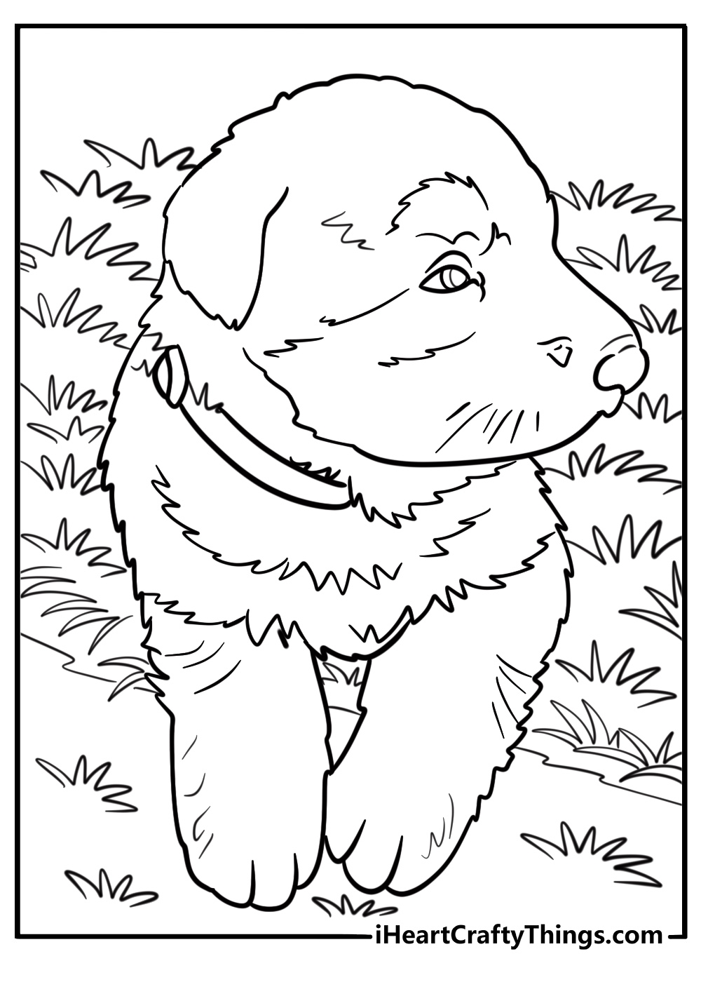 German shepherd puppy sitting in a grassy field coloring sheet