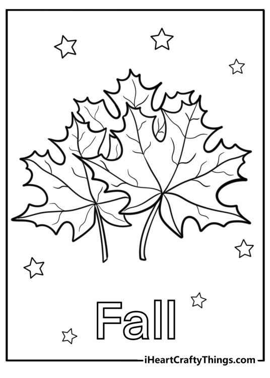 Coloring image depicting three maple leaves surrounded by stars and a word Fall beneath it