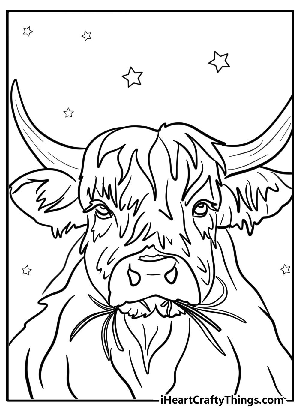 Highland cow chewing grass in the pasture coloring page