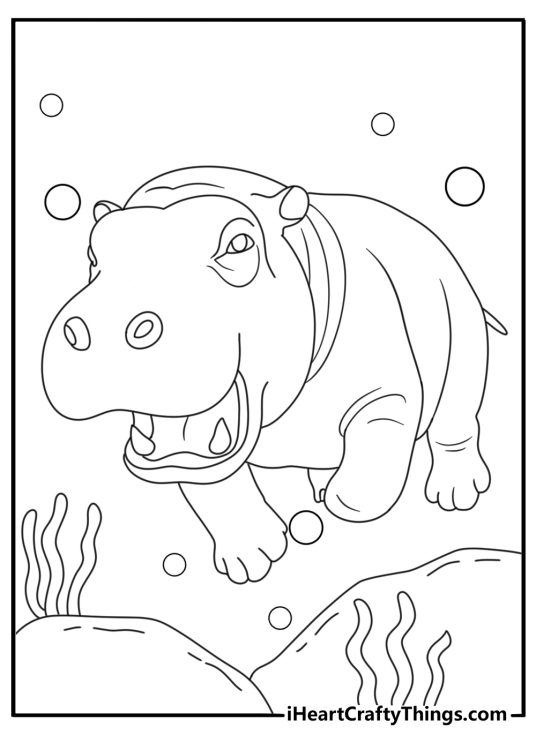 hippo coloring page showing a hippopotamus swimming across a deep river