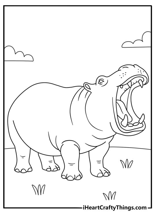 hippo coloring page showing a hippopotamus with its large teeth visible