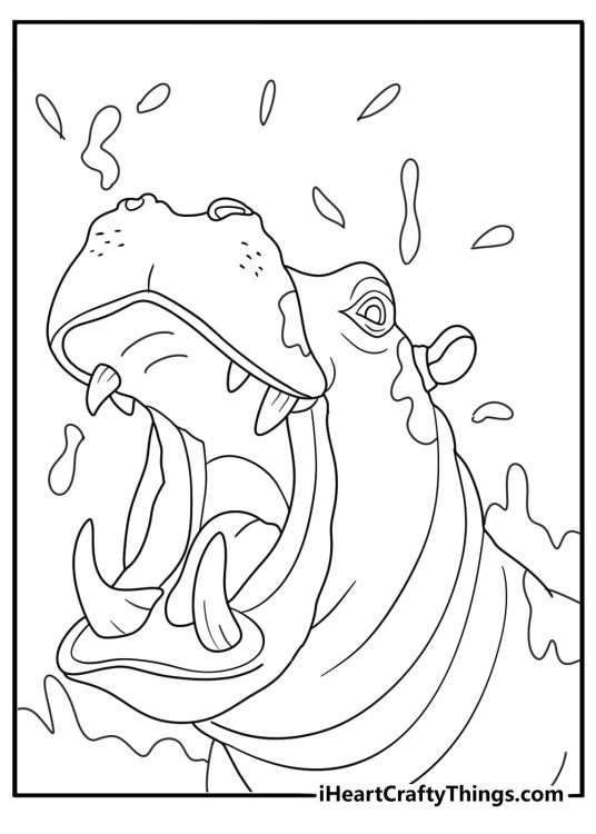 hippo shakes water from its head in this fun coloring sheet