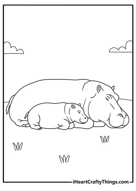 hippopotamus coloring page showing a calf resting beside its sleeping mother