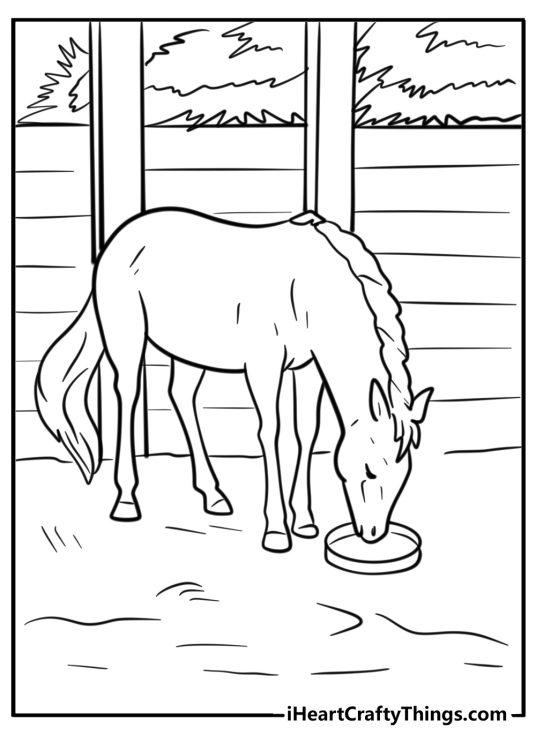 Printable coloring sheet showing horse drinking water with farm setting in the background