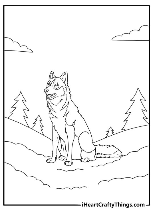 husky looking into distance simple coloring sheet