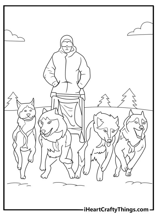 husky racing in sled dog team coloring page