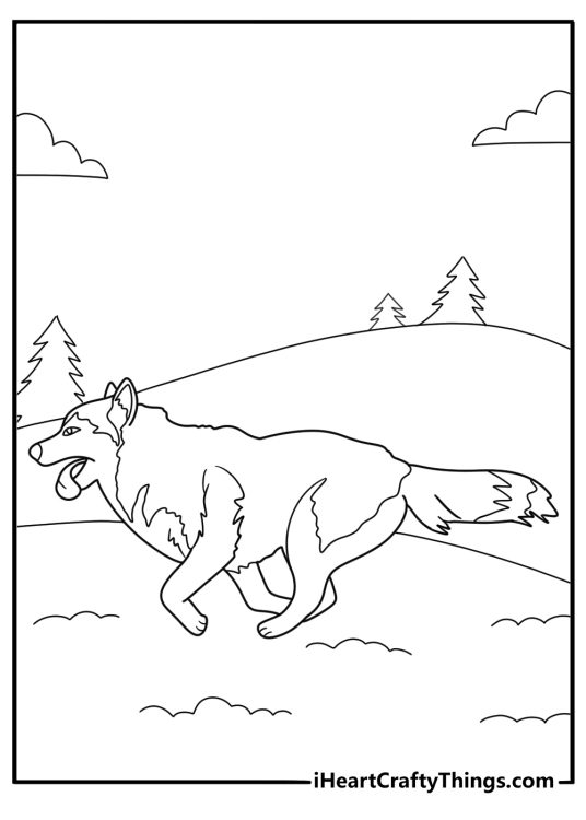 husky running through snow easy coloring sheet for kids