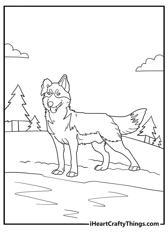 husky standing by frozen lake coloring sheet